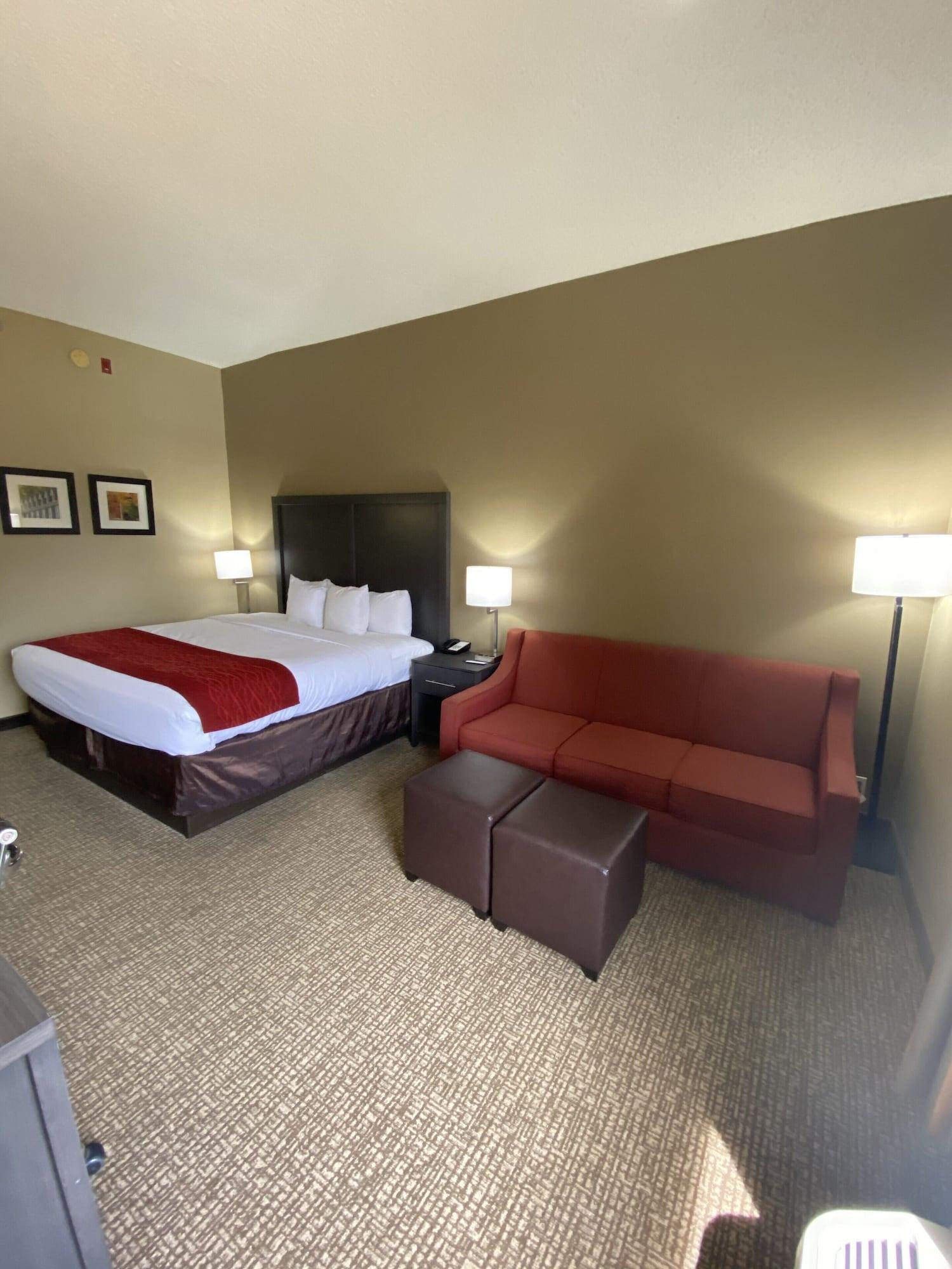 Comfort Inn Opelika - Auburn Bagian luar foto