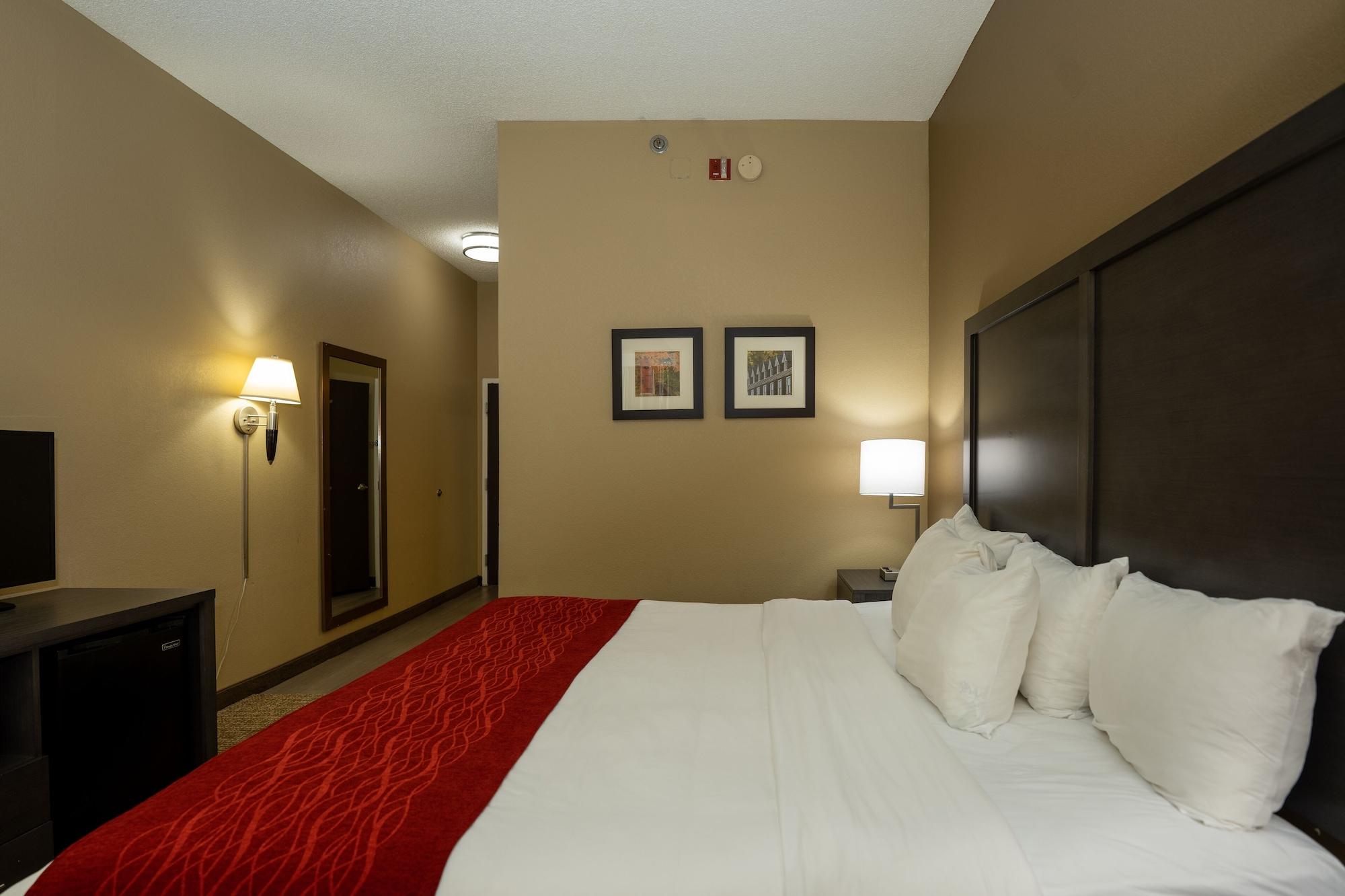 Comfort Inn Opelika - Auburn Bagian luar foto