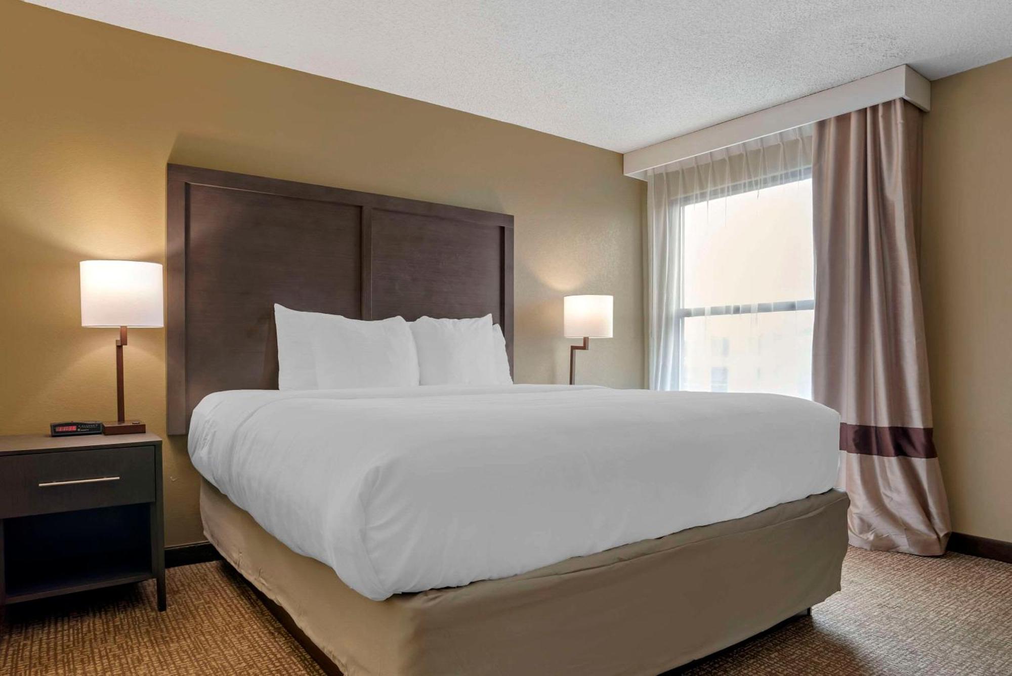 Comfort Inn Opelika - Auburn Bagian luar foto