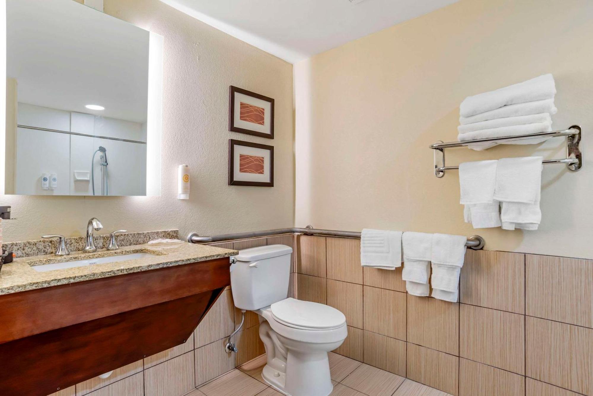 Comfort Inn Opelika - Auburn Bagian luar foto