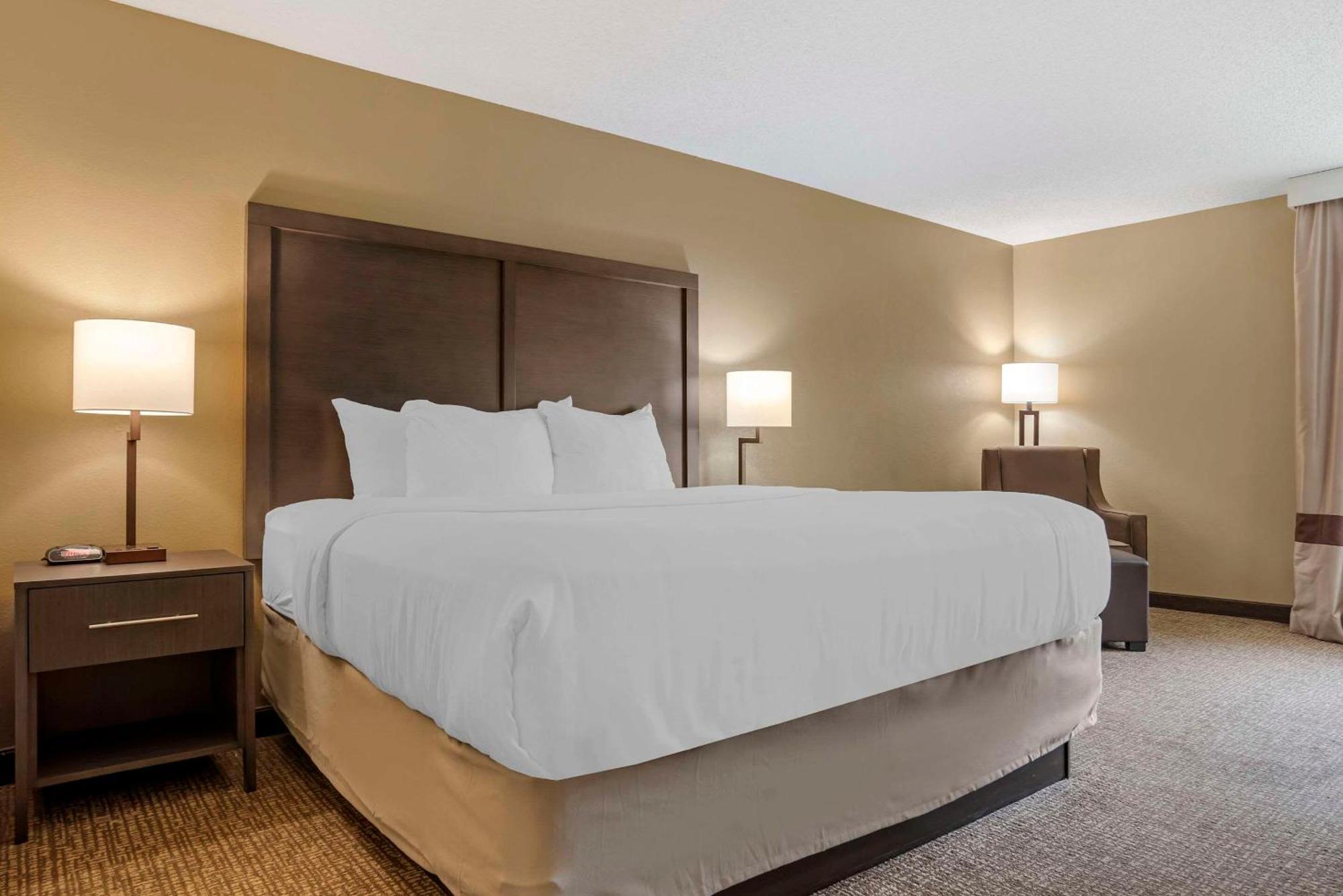 Comfort Inn Opelika - Auburn Bagian luar foto