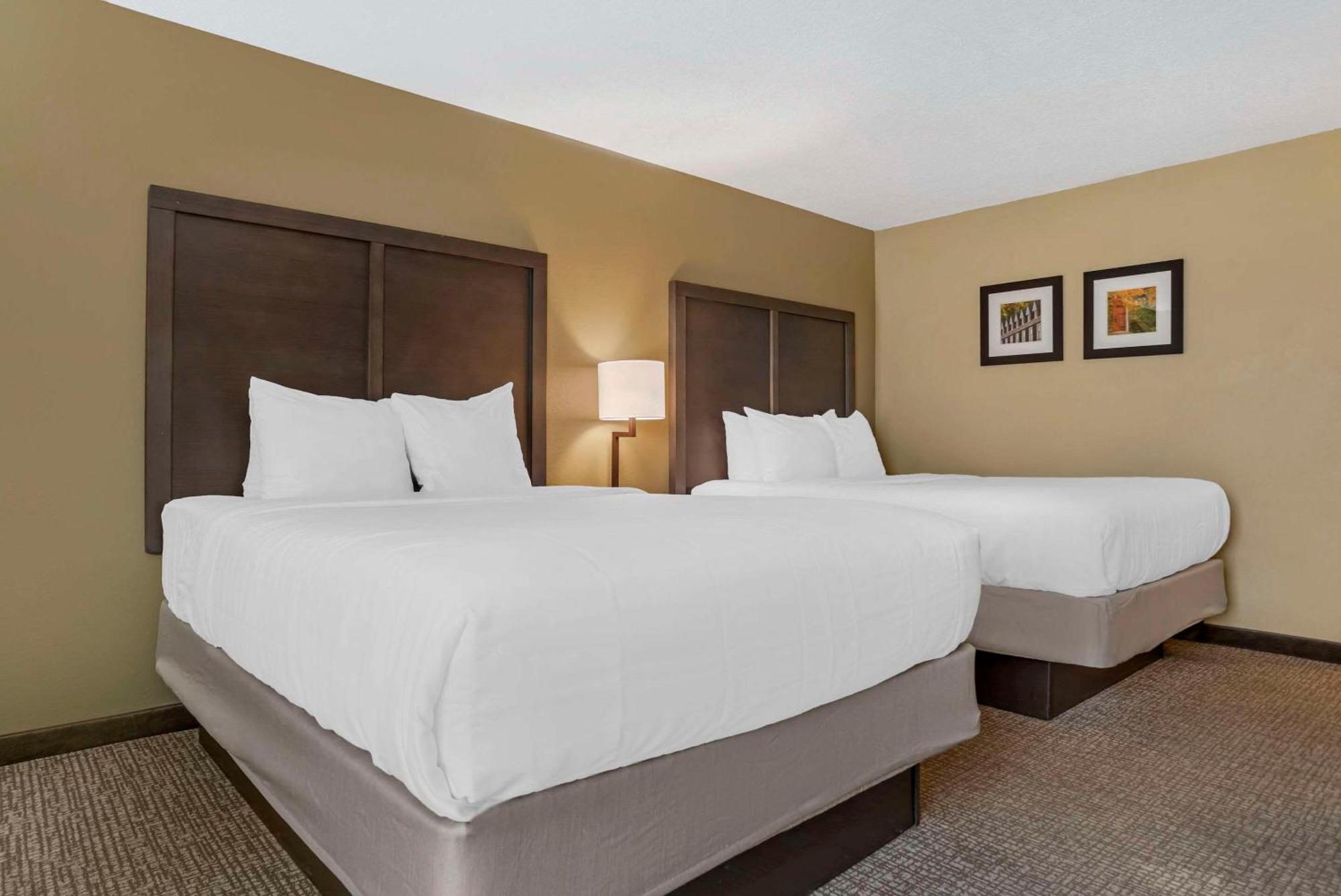 Comfort Inn Opelika - Auburn Bagian luar foto